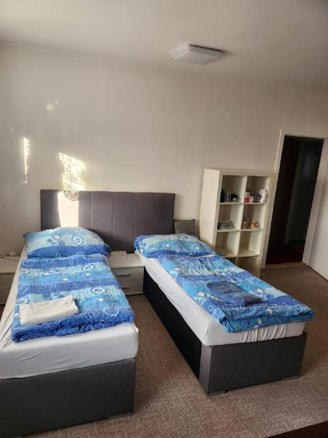 Homestay U Hanky Zdiby المظهر الخارجي الصورة