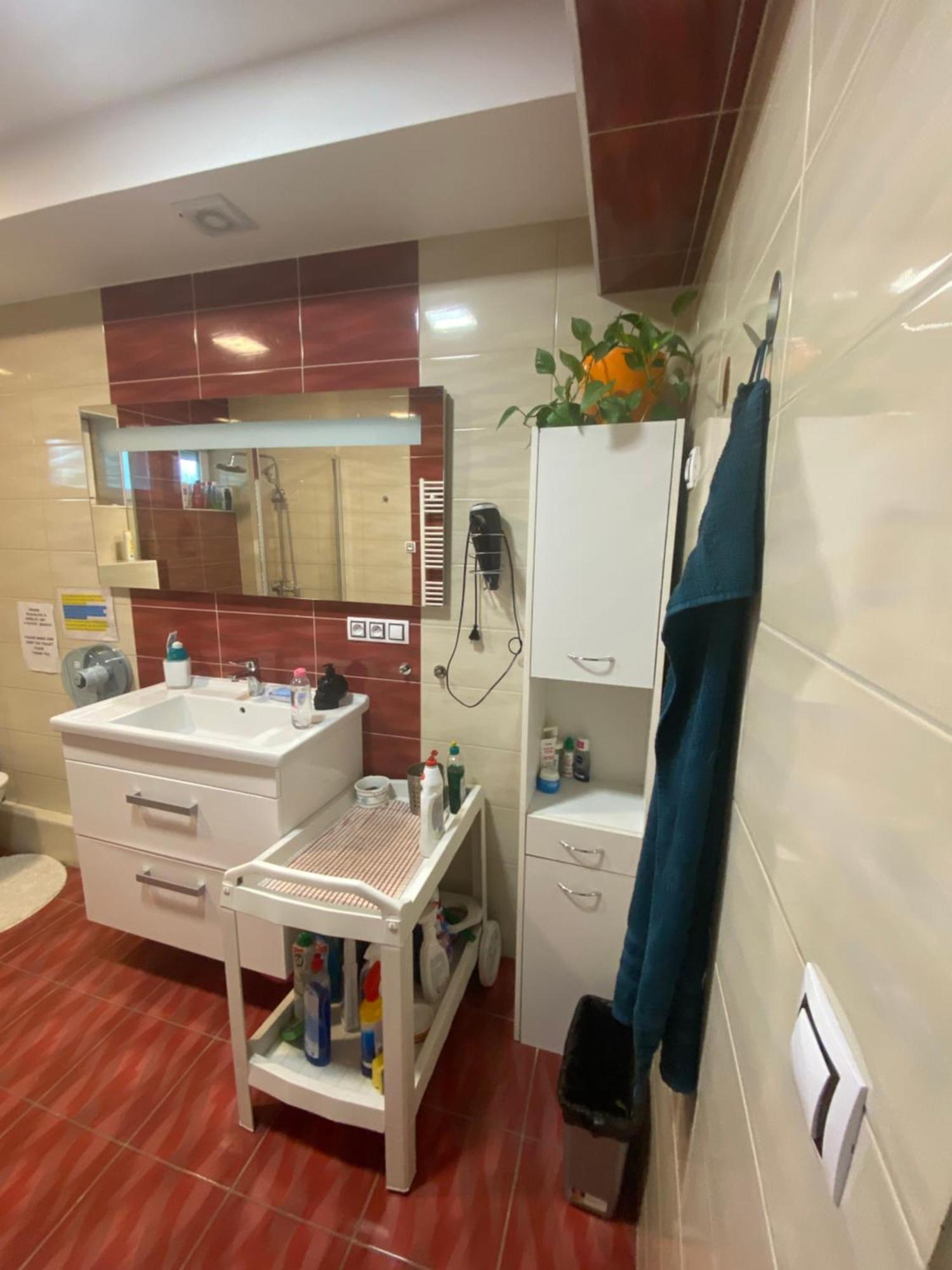 Homestay U Hanky Zdiby المظهر الخارجي الصورة